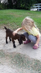 The Equestrian Center in Grand Cayman offers family activities