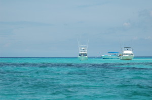 Beautiful Stingray City in Grand Cayman