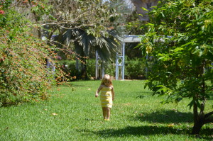 The Botanic Park is Grand Cayman's top destination for kids and families.