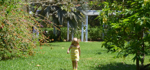 The Botanic Park is Grand Cayman's top destination for kids and families.