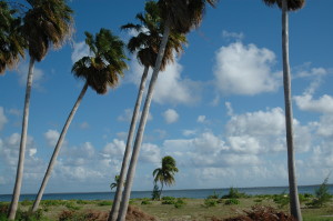 Blue skies at Rum Point in Grand Cayman