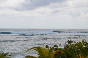 Grand Cayman surfing, paddle boarding and kayaking at Coconut Walk Bay