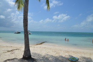Starfish Point in Grand Cayman