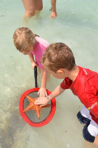 Children exploring at Starfish Point