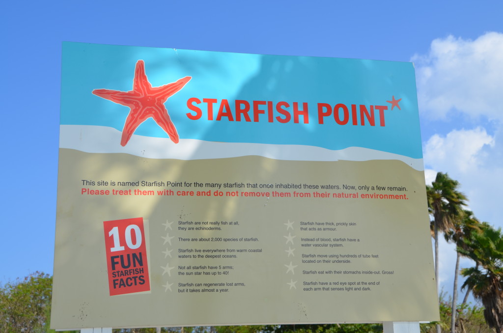 Starfish Point in Grand Cayman