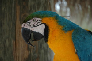 Rum Point, Grand Cayman