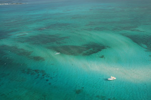 Aerial view of Stingrays