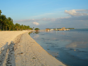 Little Cayman beach