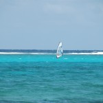 Windsurfing off Grand Cayman