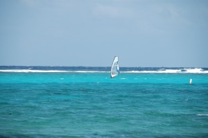 Windsurfing off Grand Cayman
